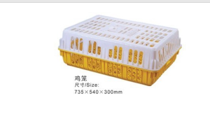 雞籠